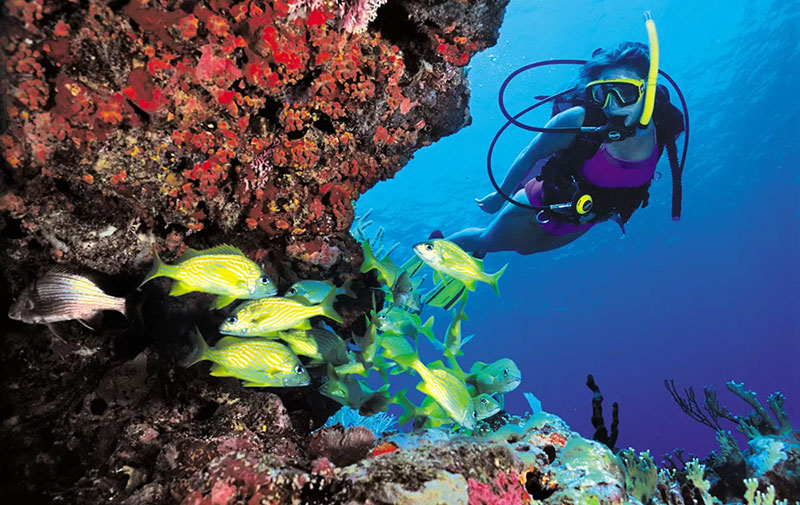Travel by Tracy Caribbean Explorations